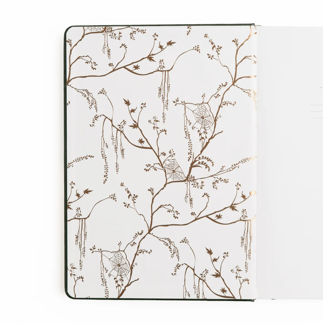 Archer And Olive - Notebook Dot Grid - HWLP304 - Apothecary Shelf - A5 - Bilde 4